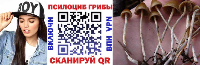 Псилоцибиновые грибы Magic Shrooms  Красково 